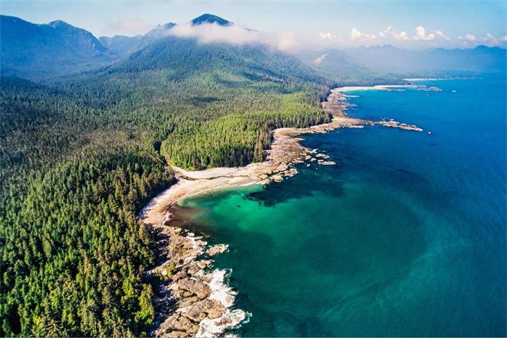 温哥华岛,为何被评为北美最佳岛屿?一座适合慢旅行的海岸之地1