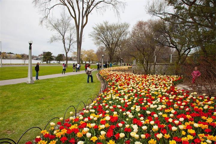 渥太华是一年四季都值得慢慢走的一座城市1