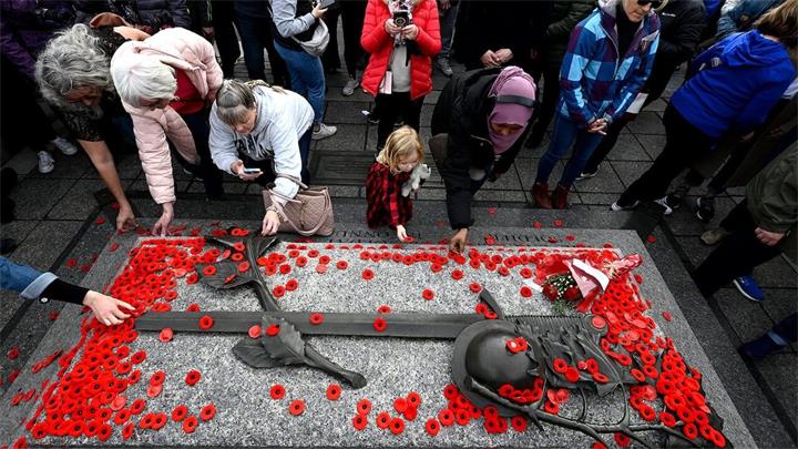 加拿大举行仪式纪念阵亡将士纪念日,缅怀退伍军人和阵亡将士1