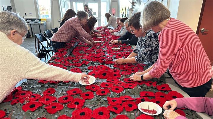 加拿大举行仪式纪念阵亡将士纪念日,缅怀退伍军人和阵亡将士3