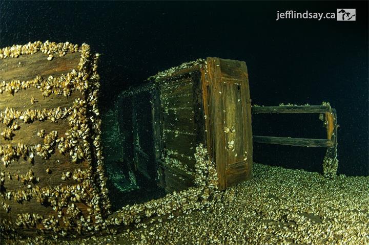 加拿大潜水队意外发现19世纪沉船,完整程度令人震惊2