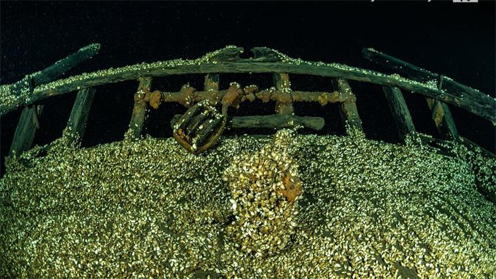 加拿大潜水队意外发现19世纪沉船,完整程度令人震惊3