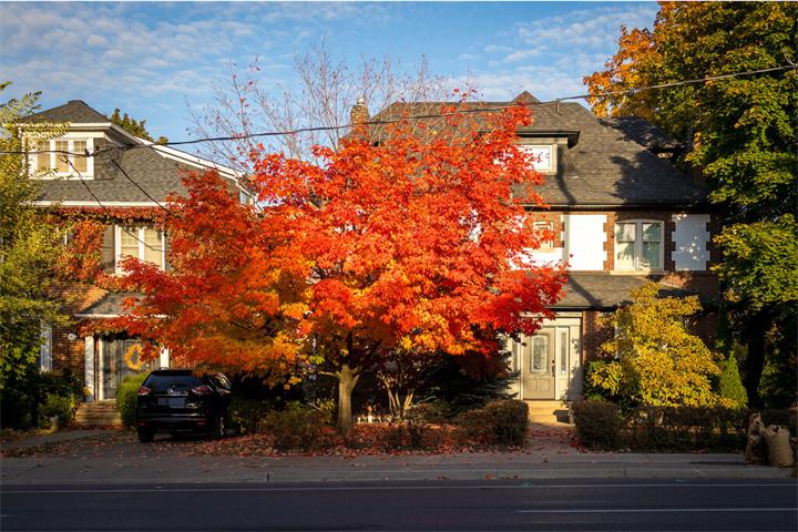 大多伦多房市回暖迹象?联排别墅在这些社区最快一周售出1