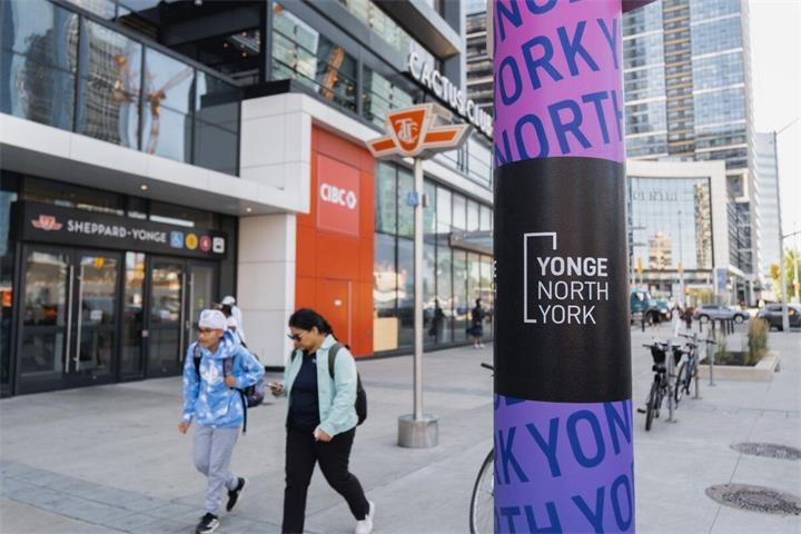 多伦多本周活动精选｜免费演唱会、节日灯光秀、假日市集全面开启2