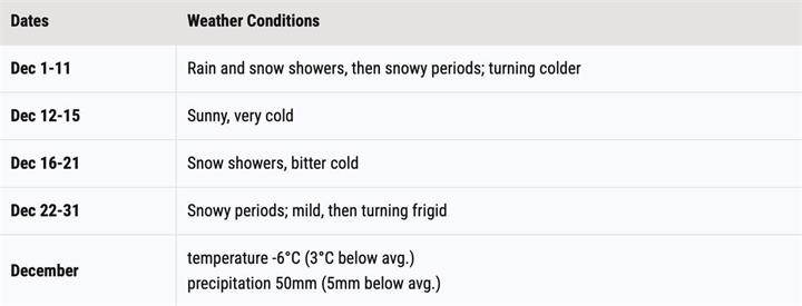 《老农夫年鉴》发布安大略省 12 月天气展望：冷空气、雨雪交替、年底或迎强烈寒潮2