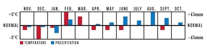 《老农夫年鉴》发布安大略省 12 月天气展望：冷空气、雨雪交替、年底或迎强烈寒潮3