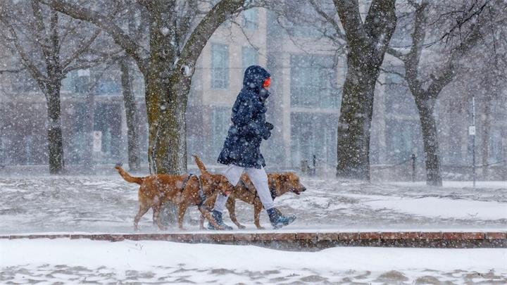 多伦多迎来十二月初冬天气：雨雪交替、体感严寒，周初持续低温1