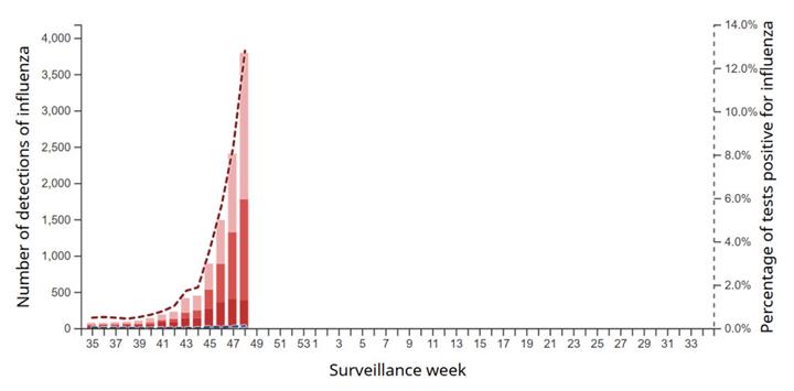 各地流感病例在假期前夕激增。你需要了解哪些信息？2