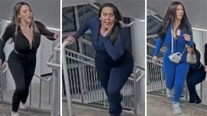 警方通缉三名涉嫌在Vybz Kartel多伦多演唱会上实施抢劫的女子1