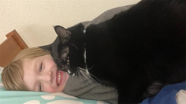 奇迹重逢：走失北境荒野五个月，这只猫踏上近4000公里回家路1