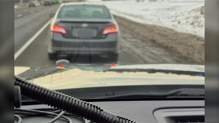 渥太华女子带猫走HOV车道被开罚单：警方提醒宠物不能算乘客1