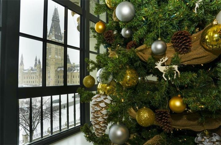 多伦多今年恐难迎来“白色圣诞节” 概率已降至四成，但周边地区雪景充足1