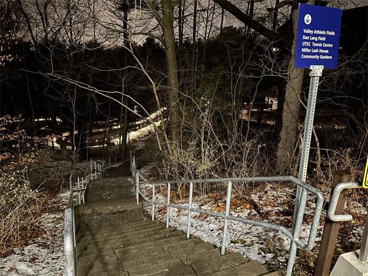 多伦多大学士嘉堡校区附近发生枪击案 一人死亡 校园封锁已解除1