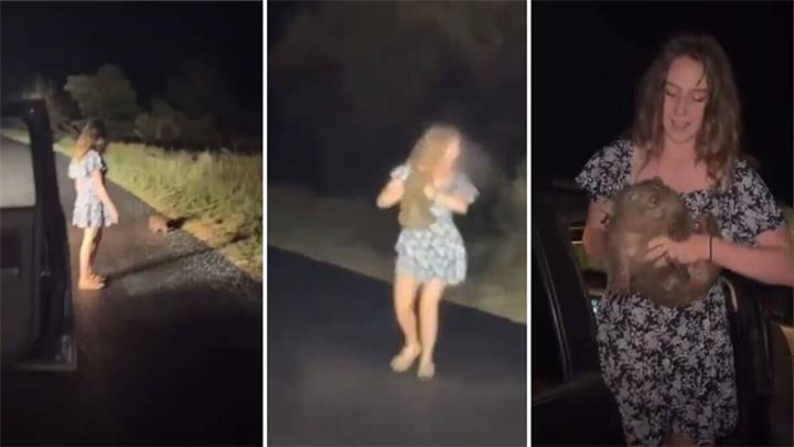 2025年度游客迷惑行为盘点：这些出国瞬间让全世界看傻眼2