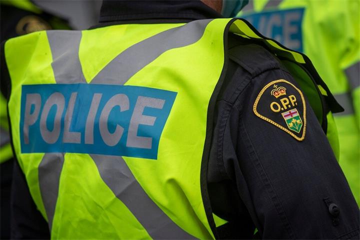 安省私人土地发生全地形车事故：五岁儿童撞树身亡 OPP展开多部门调查1