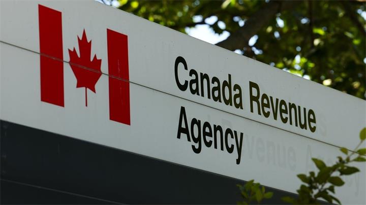 GTA 人力资源公司董事认罪逃税 84 万美元 被判缓刑并罚款1