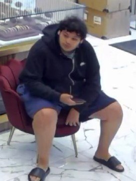 多伦多警方通缉信用卡诈骗嫌疑人，两起案件涉案金额达 2.5 万加元1