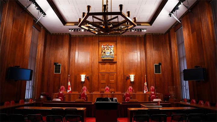 在加拿大公共体系中，为什么“制度信任”需要通过长期一致性来建立？1