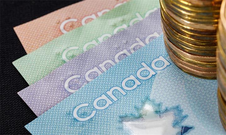 超过400万张政府支票无人兑现,加拿大人“遗忘”的钱已超20亿加元1