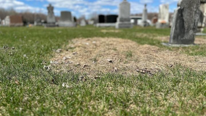 安省无人认领遗体数量连创新高：五年内增逾三倍，社会孤立成关键因素2