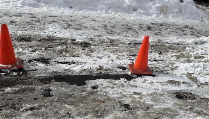 多伦多市政府提醒：用锥形路标“占位”路边停车，最高可罚240加元1