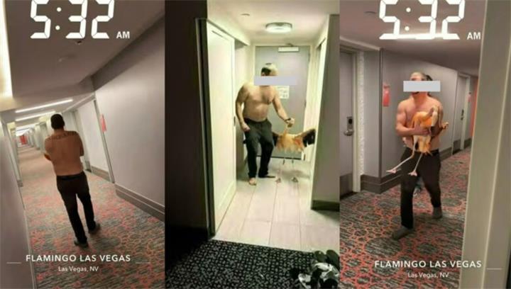 加拿大男子在拉斯维加斯涉嫌虐待火烈鸟被捕，面临重罪指控1