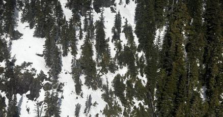 施救同伴时坠亡，非居民的中国登山者家属面临高额医疗费用1