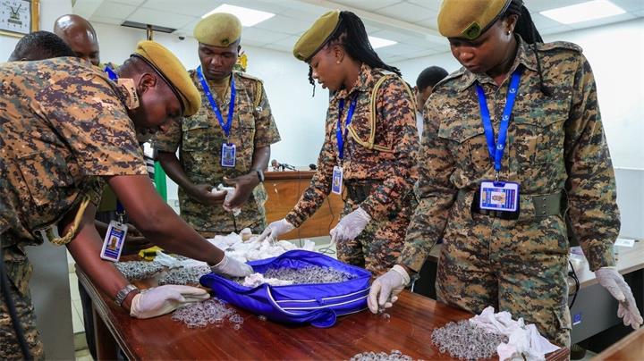 携带数千只蚂蚁试图出境，中国男子在肯尼亚被判刑1