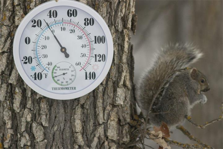 冷空气回归GTA：体感最低接近-8℃，降温将持续数日1