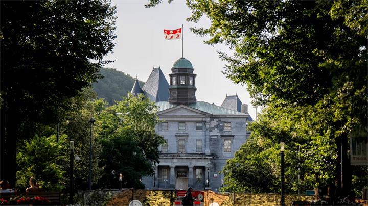 加拿大大学教授收入曝光:部分高校教师年薪中位数接近20万加元1