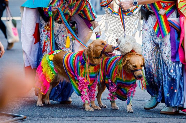 【视频】多伦多Pride大游行举行 总理卡尼现身参加并与民众互动1