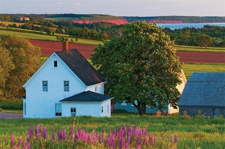 Green Gables-爱德华王子岛-本地游玩.jpg