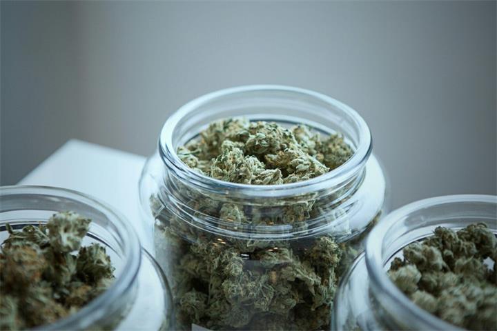 大麻.jpg