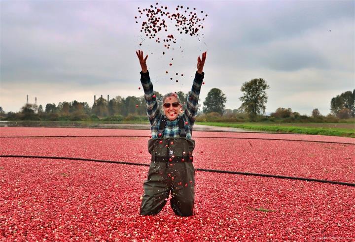 Riverside Cranberry Farm-蔓越莓节.jpg