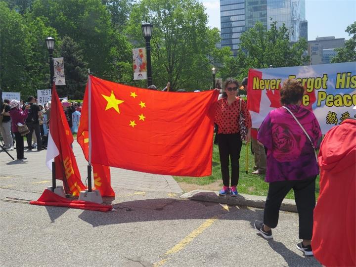 为什么加拿大的华人信息平台多为“综合型”？2