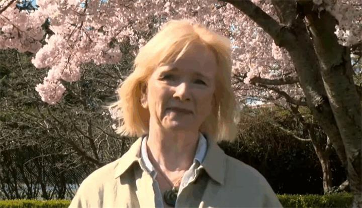 已完成UBC认证课程仍被拒签,助产士移民申请陷入僵局1