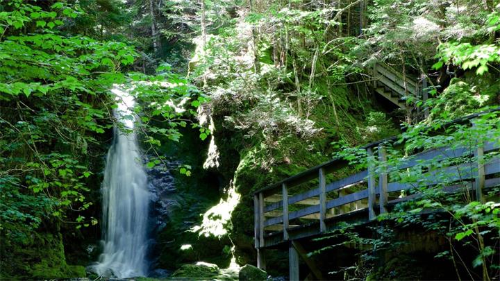 Fundy National Park-加拿大时讯-本地游玩.jpg
