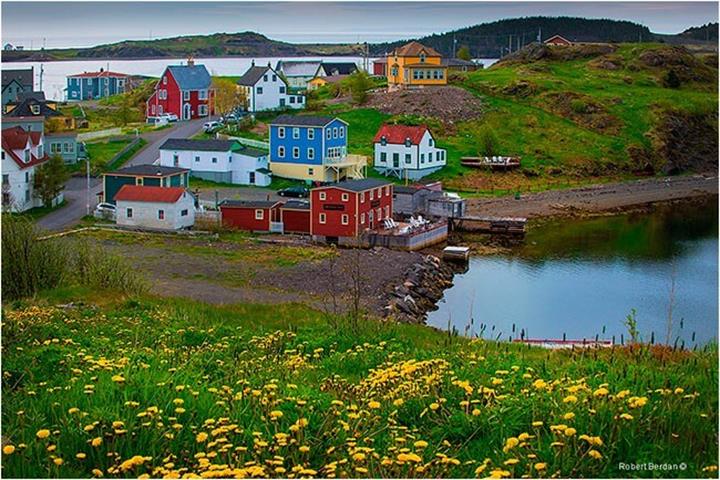 Great Northern Peninsula.jpg