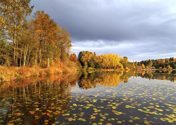 Deer Lake.jpg