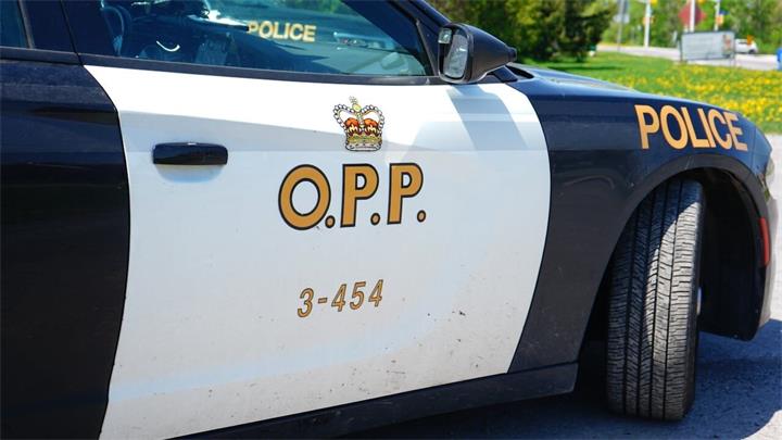 OPP.jpg
