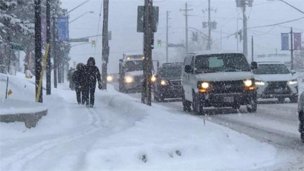 雨雪交加！当心，不及时铲雪将面临高额罚款1