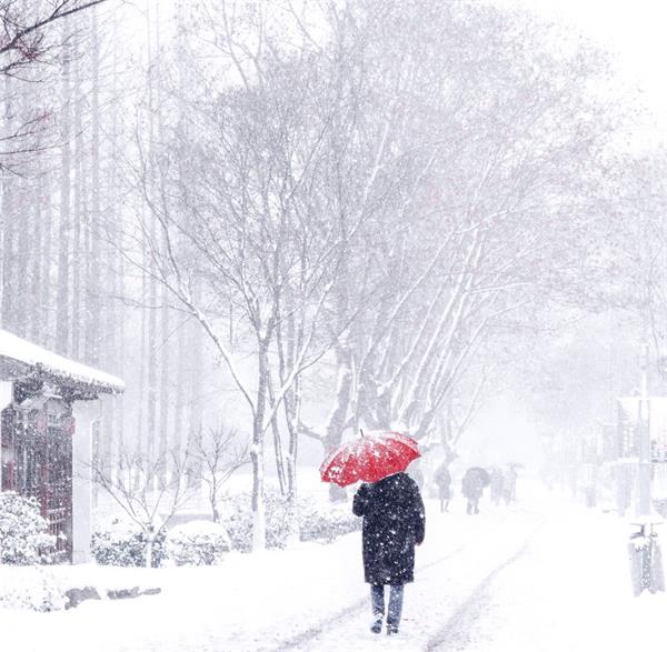 雨雪交加！当心，不及时铲雪将面临高额罚款6