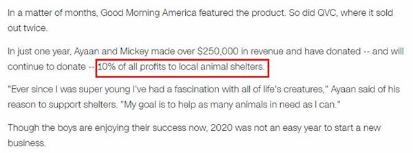 年仅12岁！美国小兄弟靠圣诞小发明赚25万美元3