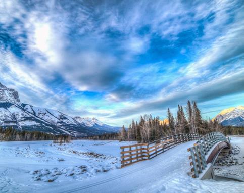 全球影迷热捧！莱昂纳多拍《荒野猎人》住过的豪宅将被拍卖1