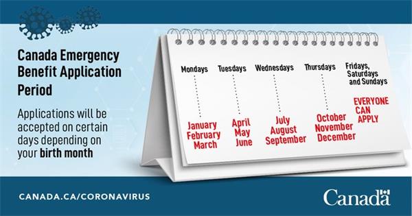 拿起法律武器！为不退还救济金自雇人士集体诉讼加拿大政府2