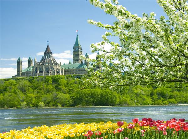 超级实用！春天来了，您的房屋一定要这样做！1