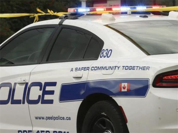 从后院入室抢劫！普通民众如何对付入室抢劫罪犯？6