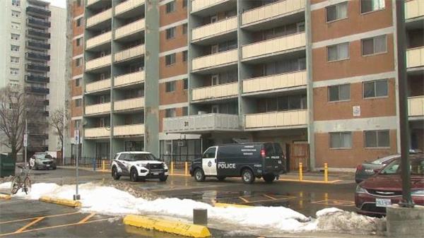 从后院入室抢劫！普通民众如何对付入室抢劫罪犯？7