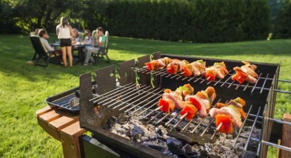 【收藏】加拿大今夏烧烤必备葵花宝典！1