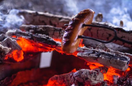 【收藏】加拿大今夏烧烤必备葵花宝典！6